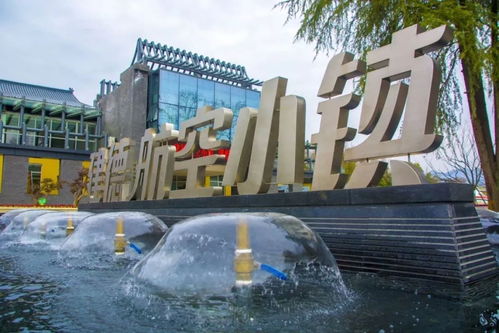 福利來襲！建德航空小鎮獲評國家4A級景區，免費溫泉等您來暢享